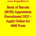 Bank of Baroda (BOB) Apprentices Recruitment 2025 – Apply Online for 4000 Posts